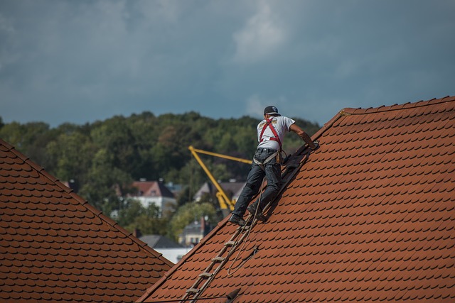 Roofers