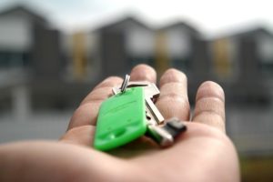 keys on palm
